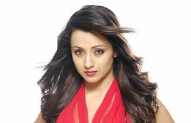 trisha,heroine oriented movie,varun maniyan,marriage  హీరోయిన్‌ను సక్సెస్‌ బాట పట్టిస్తానంటున్న భర్త..!!